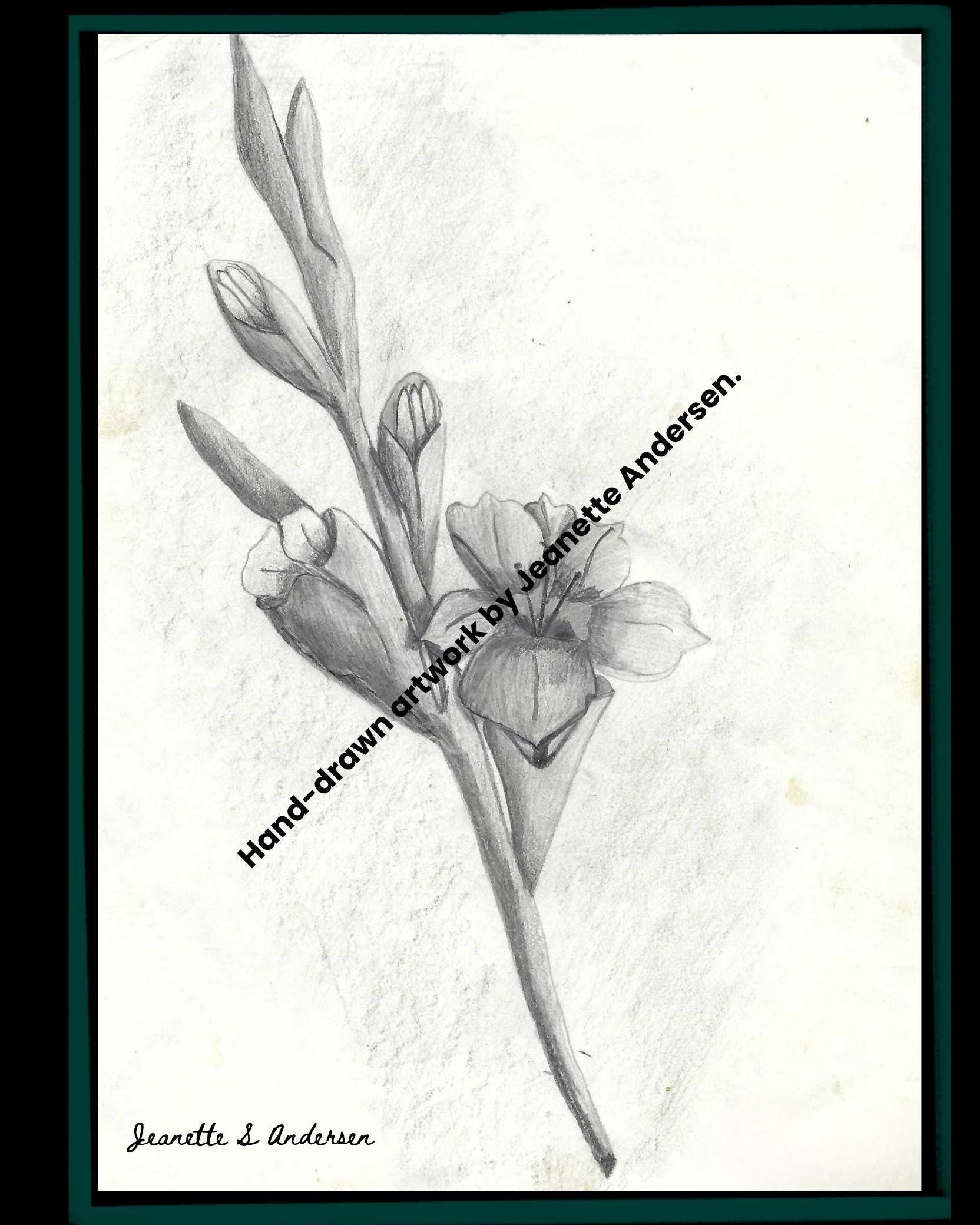 Hand Drawn Art Print by Jeanette Andersen | Original Illustration | Wall Art Gift | Home Decor