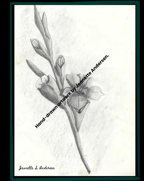Hand Drawn Art Print by Jeanette Andersen | Original Illustration | Wall Art Gift | Home Decor